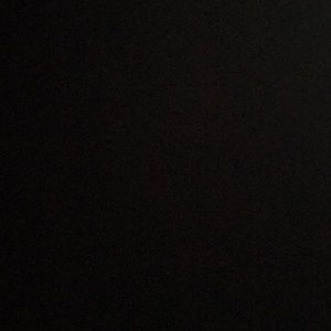 Meet your Posher, Molly